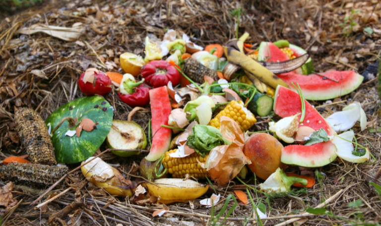 Organic Waste Recycling